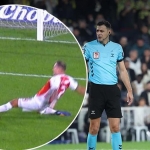 sosyal-medyada-cok-konusuldu-iste-fenerbahcenin-kazandigi-penalti-bvh2IvN3.jpg