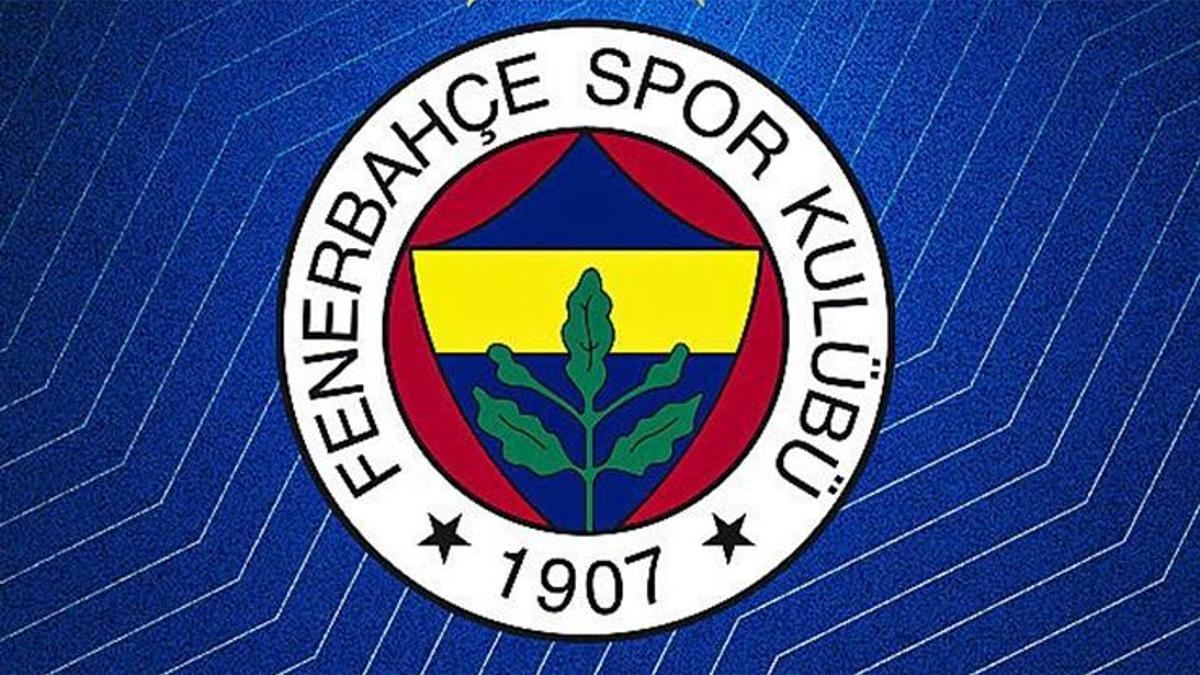 fenerbahce-bekoda-sakatlik-soku-3-hafta-sahalardan-uzak-kalacak-SYOfYKEB.jpg